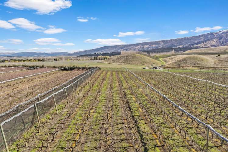 Lot Lot 6, 0 Mount Pisa Road Mount Pisa_19