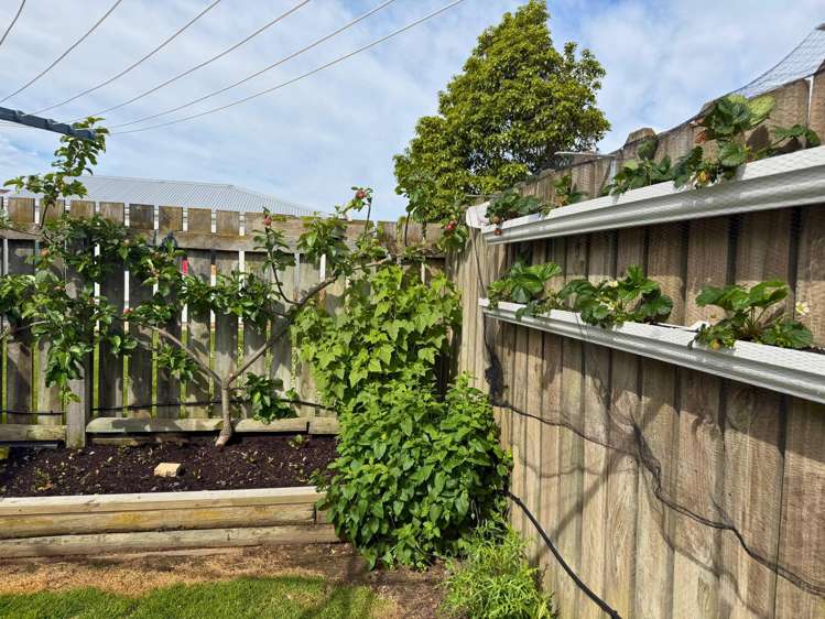 14 Girvan Street Oamaru_17