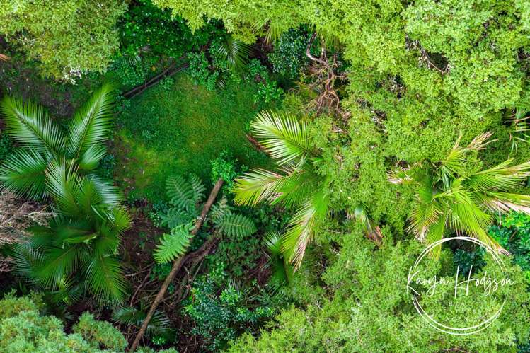 14 Woodland Road Maungaturoto_42