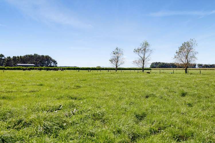 268 Waihi Road Hawera_23