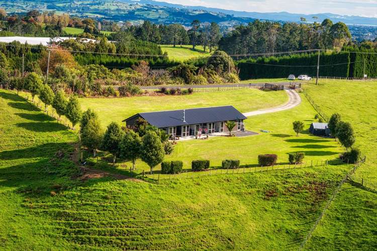 65 Hereford Road Oropi_34