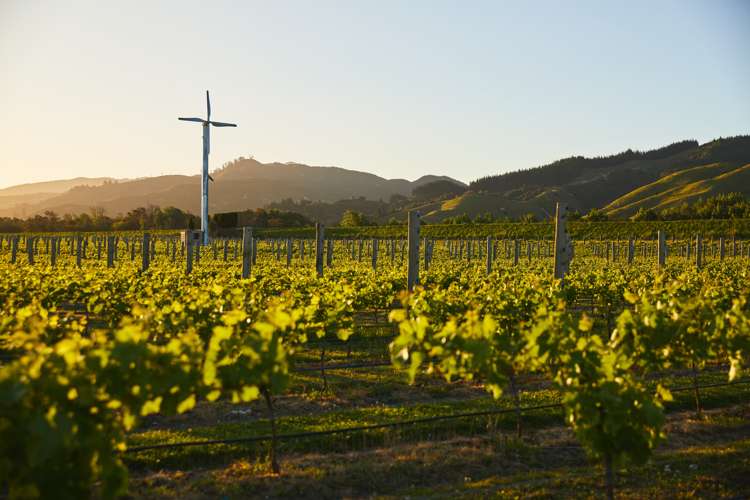 212 Selmes Road Rapaura_22