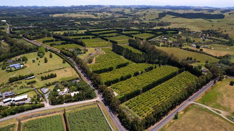 409 Kapiro Road Kerikeri_3