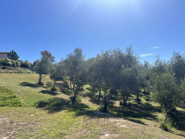 127D Ridgeview Road Redwood Valley_3