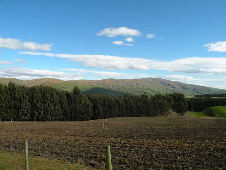 902 Moa Flat Road Ettrick_6