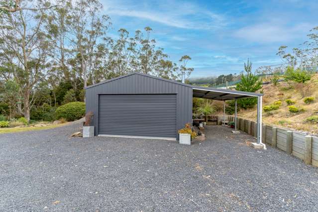 870 Blueskin Road Mount Cargill_3