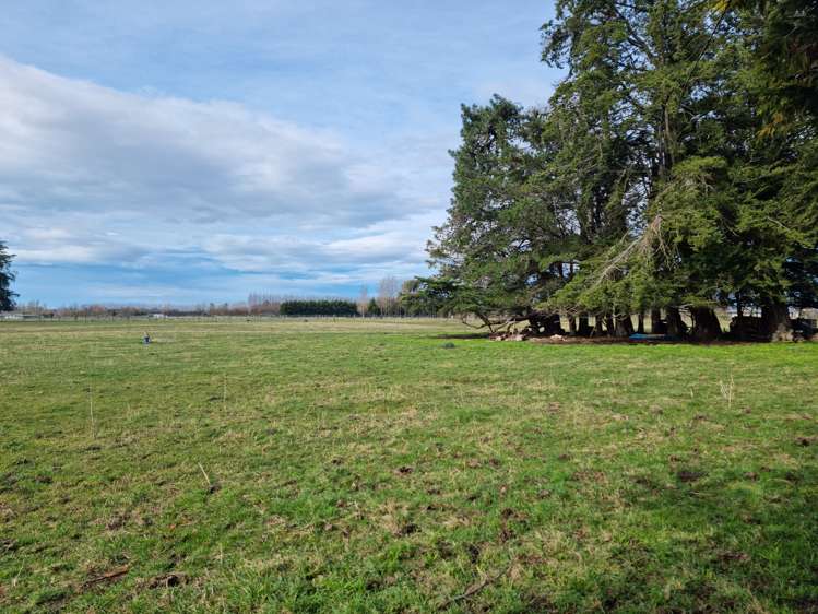 103 Mountvista Road Fernside_6