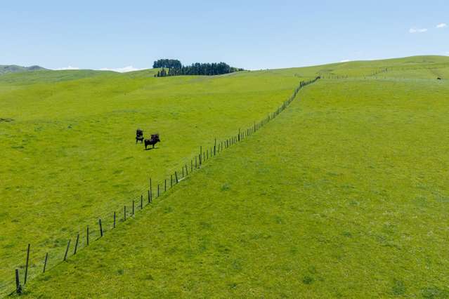 129 Speedy Road Dannevirke_4