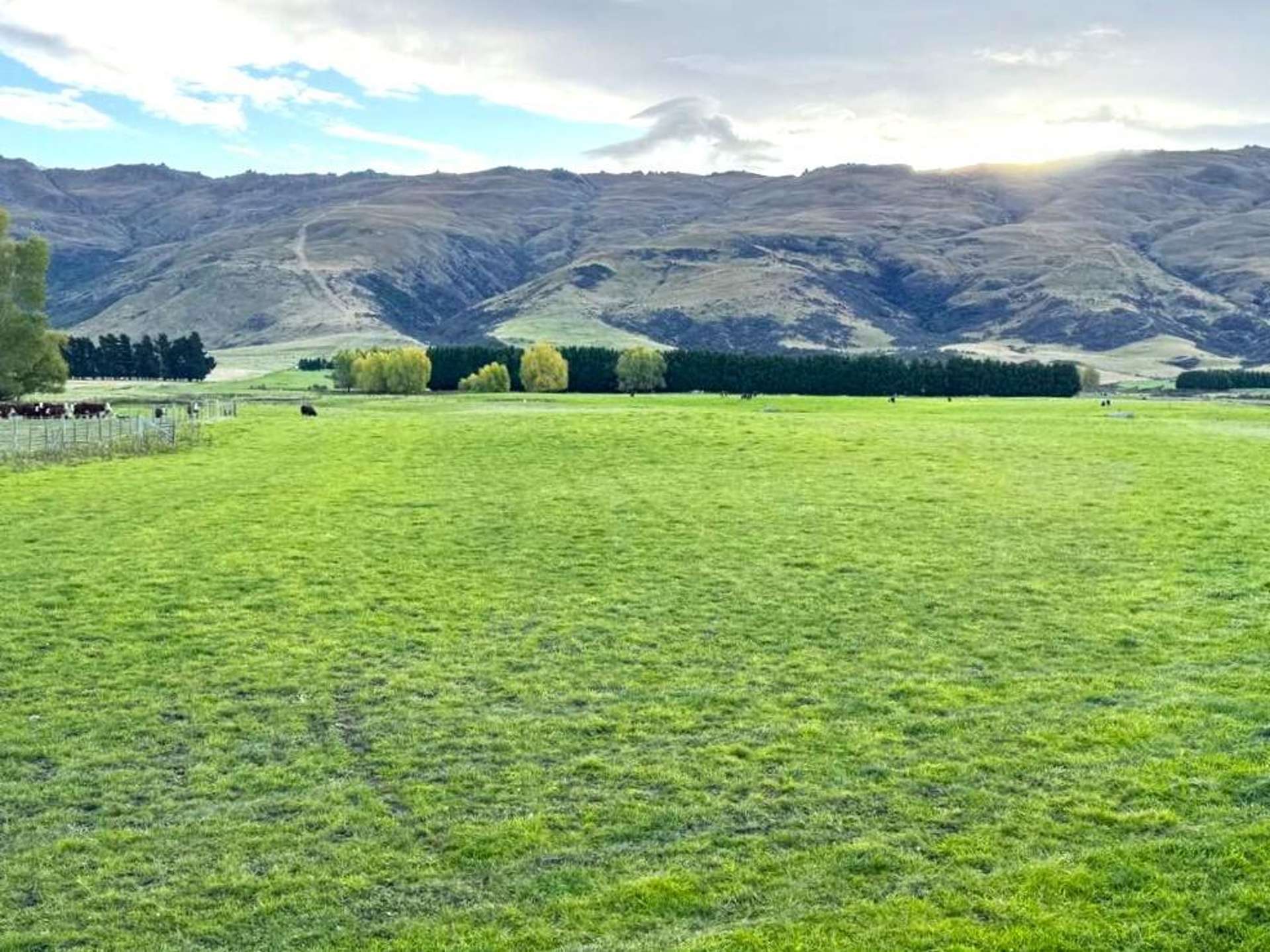 49 Top Road Middlemarch_0