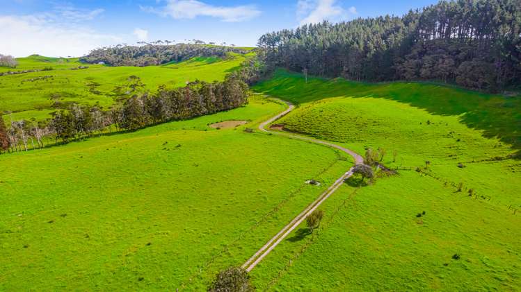 764 Peak Road Helensville_29
