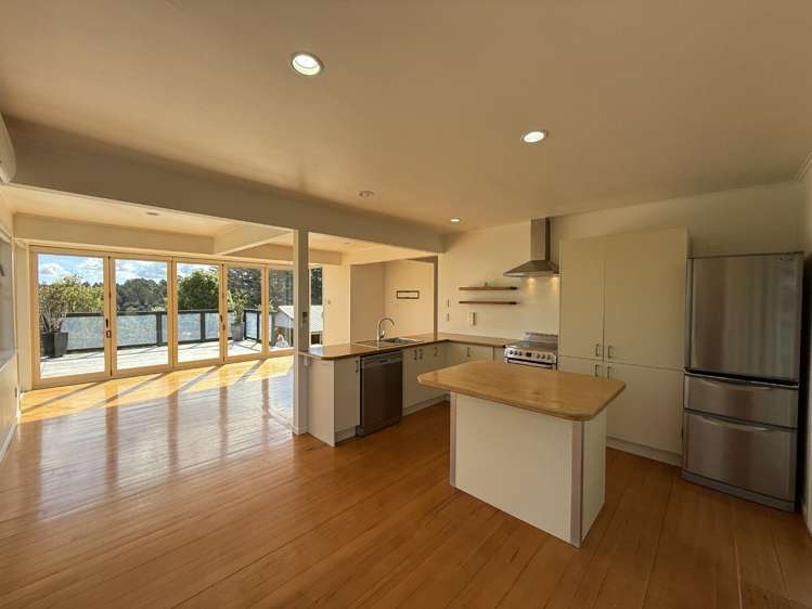 98 Tender Road Dairy Flat_5