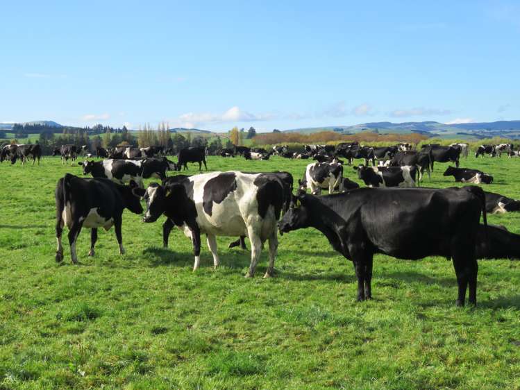 887 Wyndham Road Gore Surrounds_0