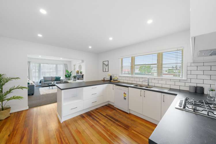 33 Karaka Street Eden Terrace_2