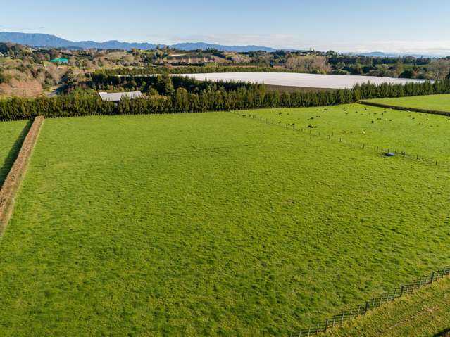 74 Armstrong Road Te Puna_2