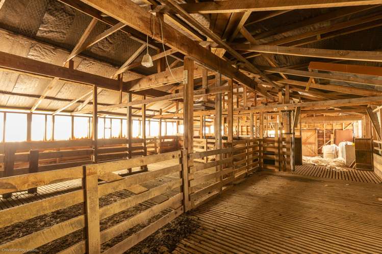 586 Howard Valley Road Kahurangi National Park_23