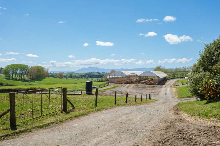 263 Paratu Road, Walton Matamata_21