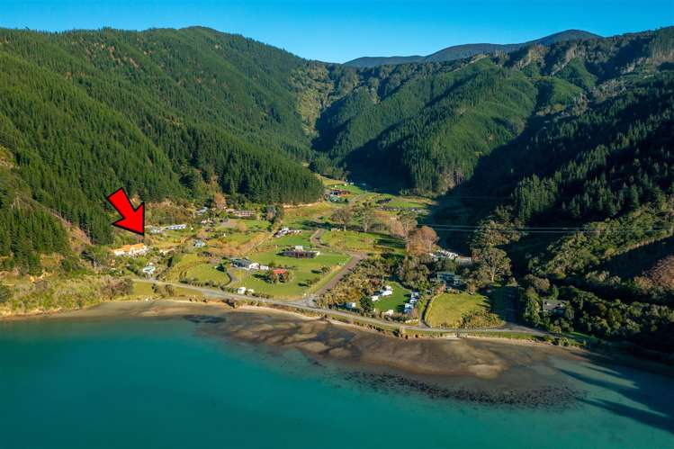 1476 Port Underwood Road Oyster Bay Port Underwood_9