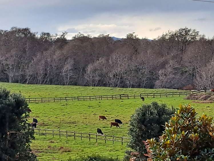 1469 Tuakau Bridge-Port Waikato Road Tuakau_8