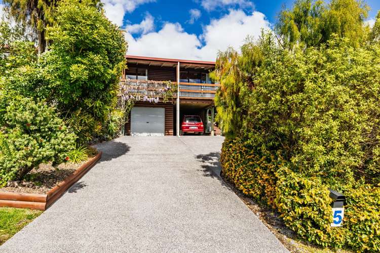 5 Tui Grove Te Haumi_11