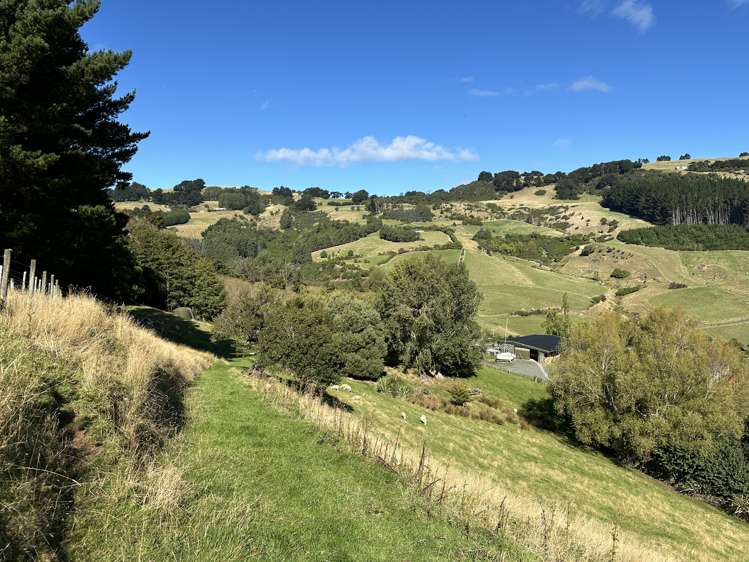 26 Dickson Street Macandrew Bay_17