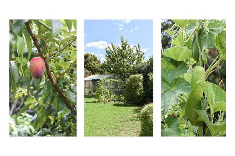 180 Carlton Street Bellevue_16