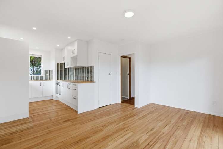 239B Maungatapu Road Maungatapu_3