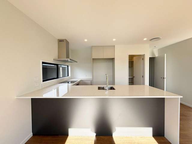 19 Mckerrow Street Marshland_1