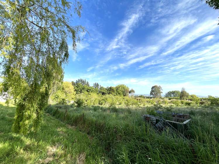 37 Knoll Street Milton_6