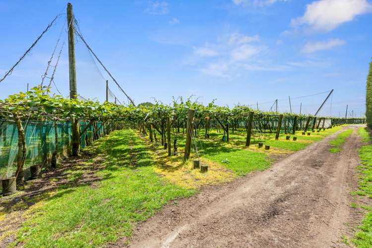 23 Wilson Road North Paengaroa_8