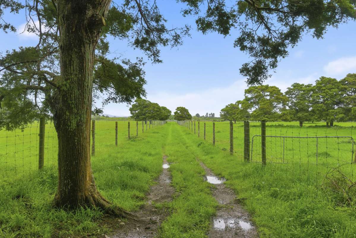 81 Muhunoa West Road_3