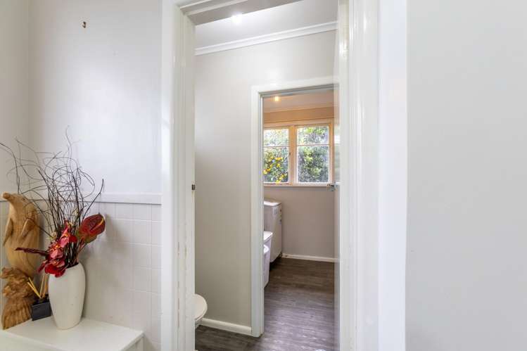 77 Bledisloe Road Maraenui_12