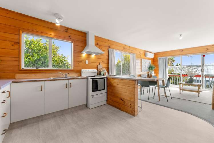 389b Maunganui Road Mount Maunganui_6