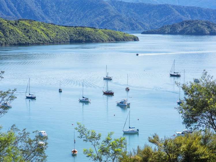 43 Waimarama Street Waikawa_6