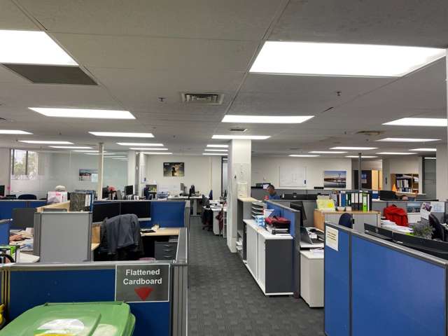 4 Albert Street Central Whangarei_2