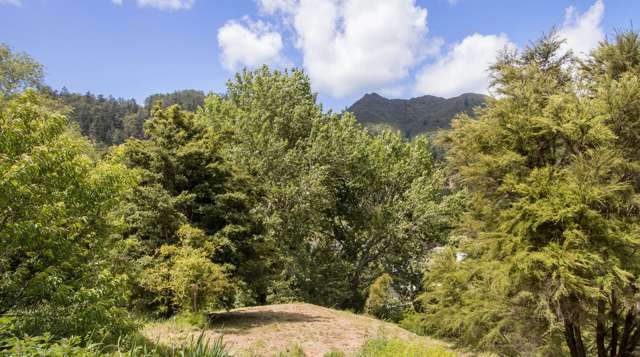 00 Moresby Street, Karangahake Paeroa_2