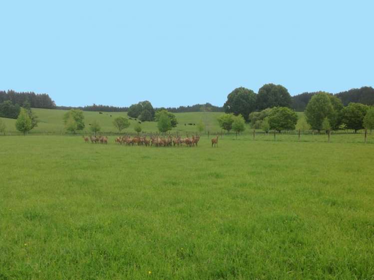 545 Waiwhero Road Ngatimoti_25