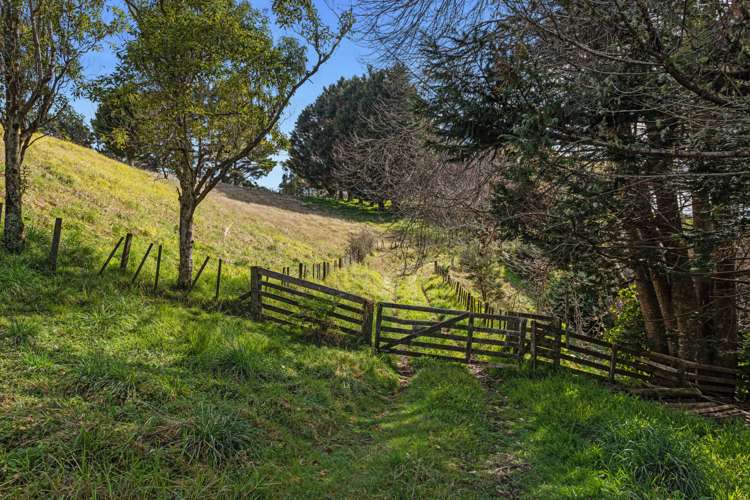 107 Ohiwa Loop Road Opotiki and Surrounds_8