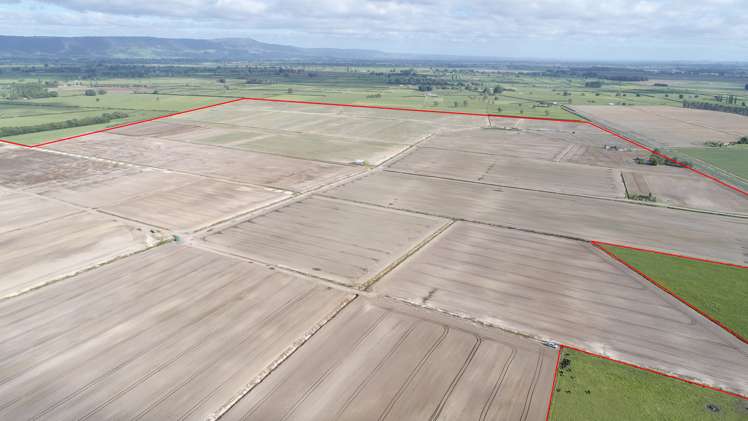 1291 Alexandra Road Waharoa_16