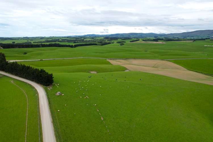 355 Clifton Road Clinton and Surrounds_22