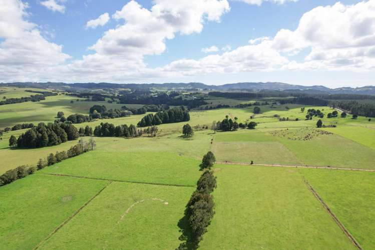 503 Puhipuhi Road Whakapara_44