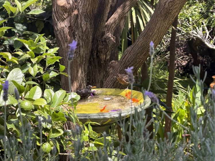 42 Tasman Heights Ahipara_23