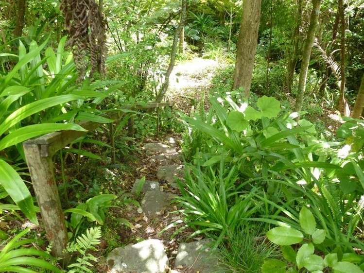 315 Opoutere Road Opoutere_12