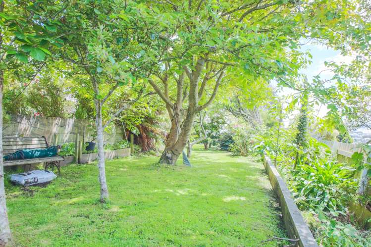 46 Walker Street Bluff_16