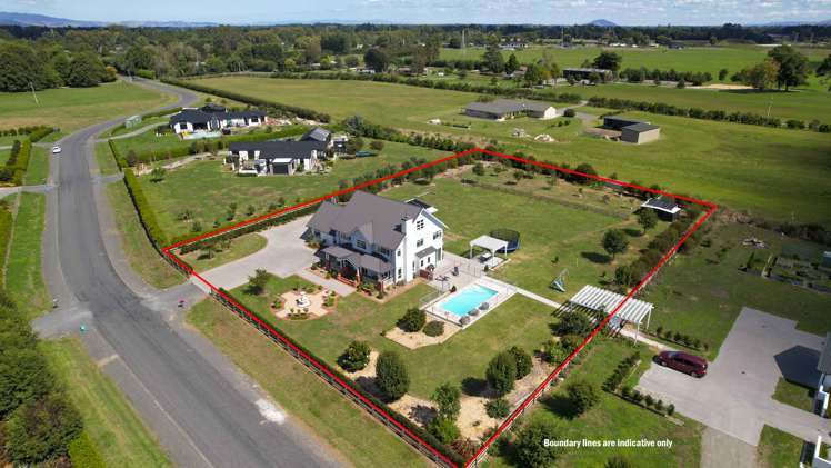 103 Webster Road Matangi_16