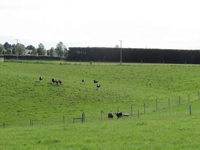 49 Downs Road Geraldine_3