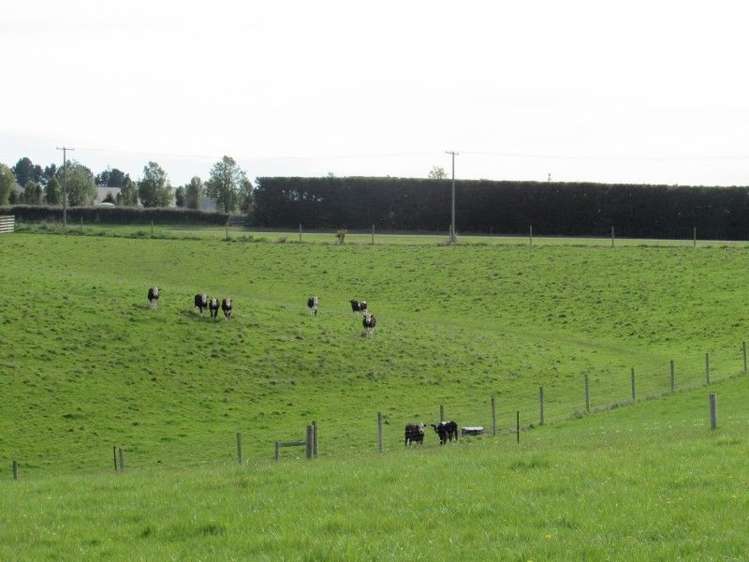 49 Downs Road Geraldine_3