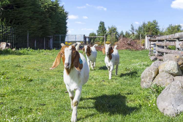 2298 Oxford Road Oxford_12