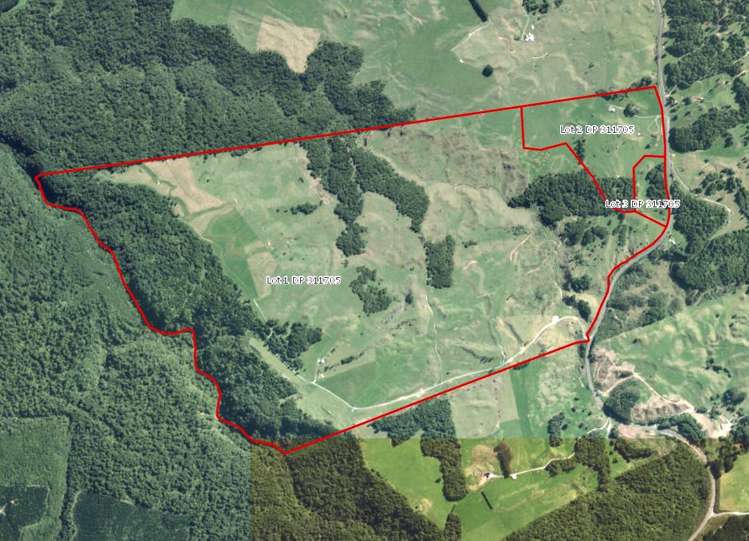 2140 Pyes Pa Road Kaimai_2