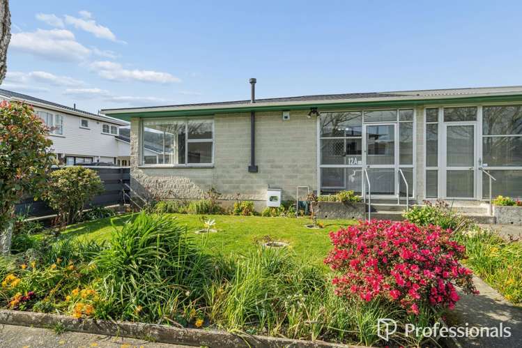 12a Chesney Street Avalon_20