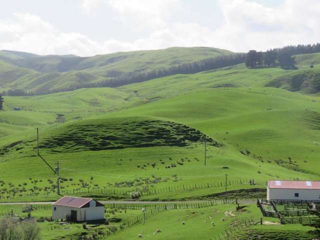 1072 Mangatuna Road Rangitikei Surrounds_3